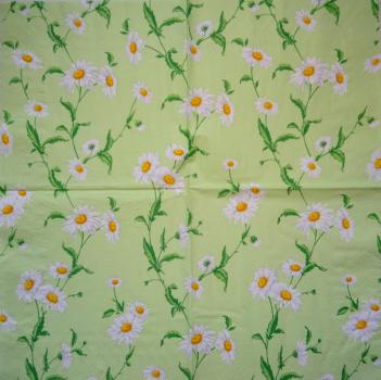 348 Daisies - 3-ply - CS